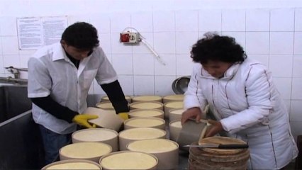 Lezhë, "në kërkim" të pensionit, interes i qytetarëve për sigurimet shoqërore