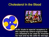 What is LDL Cholesterol and How Statin Lowers LDL