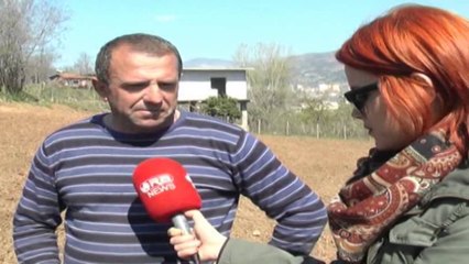 Elbasan, problemet e fermerëve, rikthehen kooperativat, por mungojnë kushtet