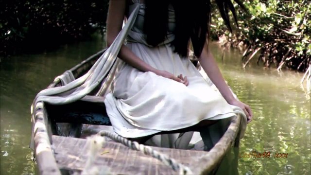 # 2. Arabian Stallions and horses. 720p HD