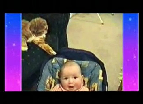 Animals like to move it move it