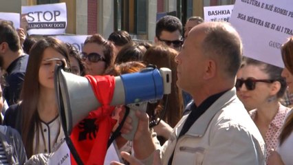 Protestë para Bashkisë, mbrojtësit e kafshëve: Mos vrisni qentë endacakë