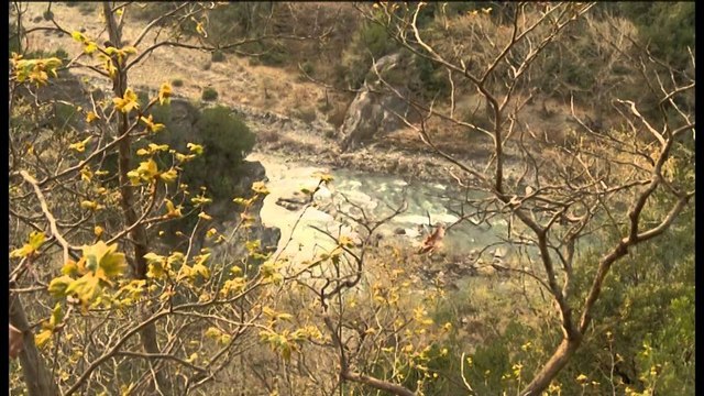 Pritet të vazhdojnë kërkimet në lumin Erzen. Kërkimet për 19 -vjeçarin, Alizoti pasi ra dje në lumë