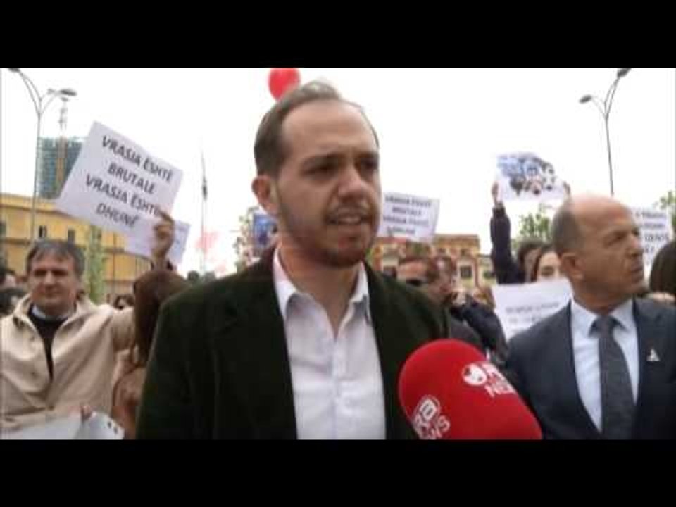 Protestë për mbrojtjen e kafshëve, apel bashkisë për të mos vrarë qentë endacakë