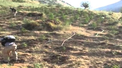 Ambasada e SHBA paralajmëron qytetarët. "Mos udhëtoni drejt fshatit të Lazaratit"