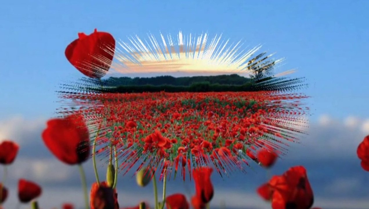 ELİF REYYA NAZ-YASİN AYHAN-ŞEMSETTİN DERVİŞOĞLU     GELİNCİK