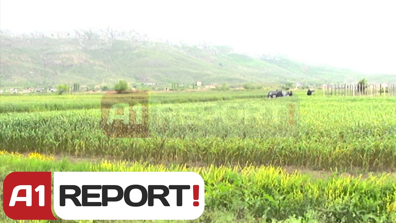 A1 Report - Gjakmarrja, 55-vjeçari qellohet me snajper, punonte ne sera