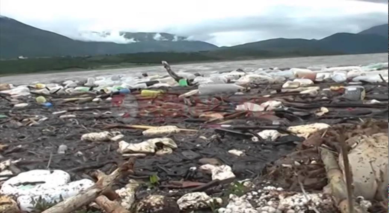 Trupat ushtarake, aksion për largimin e mbetjeve  në liqenin e Fierzës