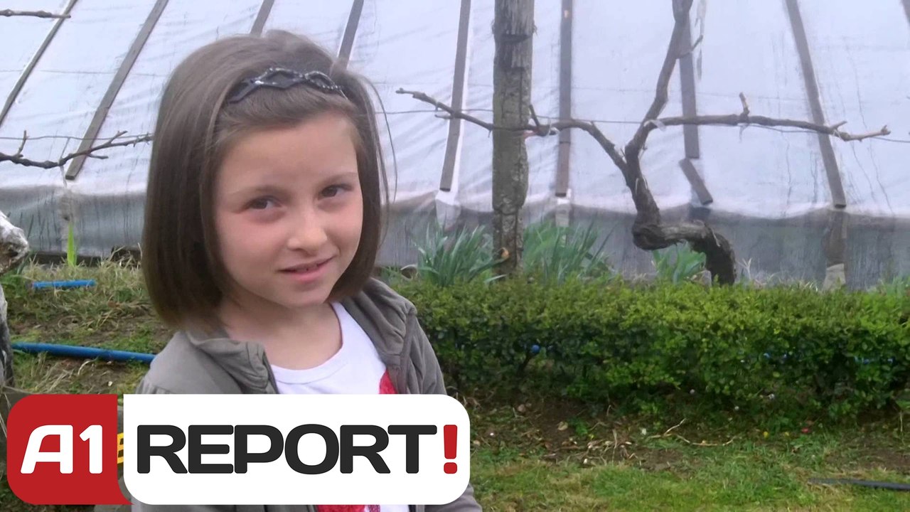 A1 Report - Shtegtim ne Zavaline