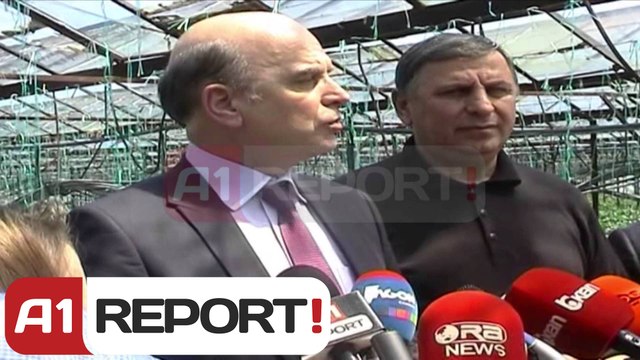 A1 Report - Fier, Panariti: 3 mije certifikata pronesie gati per t'u shperndare