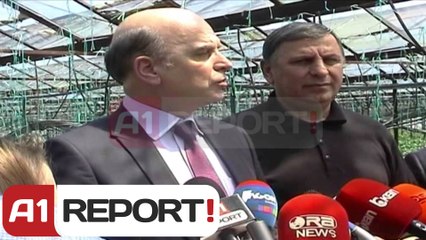 A1 Report - Fier, Panariti: 3 mije certifikata pronesie gati per t'u shperndare