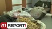 A1 Report - Kapen 9 mushka me 1 ton duhan shqiptar kontrabande ne Vermice