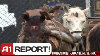 A1 Report - Edicioni i Lajmeve, 20 Maj 2014 - Albania News