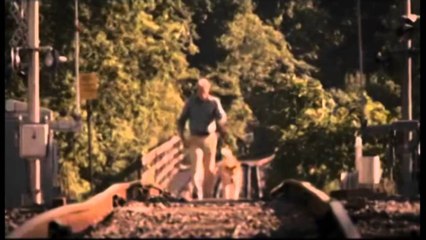 Filmat emocionues ndër vite. 7 filmat që vazhdojnë të ngacmojnë imagjinatën