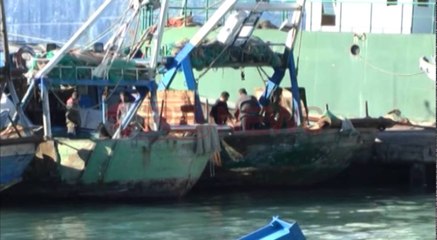 Kriza e peshkimit në Durrës, anijet jashtë funksionit, nuk riparohen dot