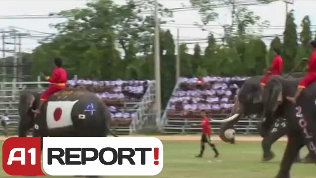 A1 Report - Zhvillohet ndeshja e e kupës se Botës me elefant në Tajlandë