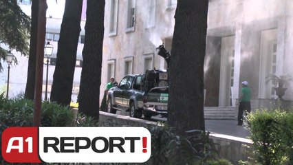 A1Report - Dezinsektimi jo vetëm në bregdet... Në Tiranë nis me Kryeministrinë