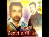Demiri & Vllezrit Gashi me lindi djale u gzova shume
