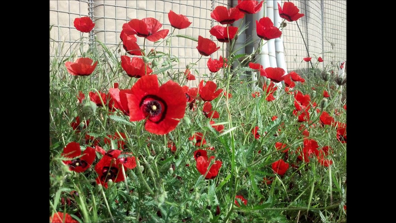 Afghanistan - Off The Silk Road