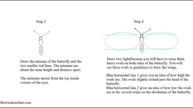 Learn how to draw a butterfly step drawing tutorial