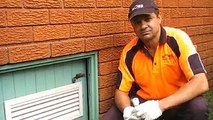Termite Treatment Termidor Dust | Termites Pest Control Sydney