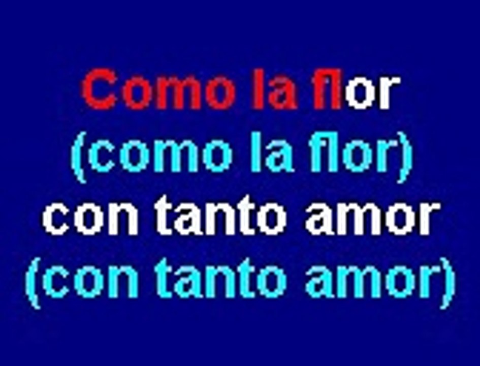 Selena - Como la flor (Karaoke)
