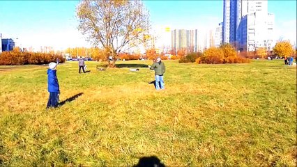 lost HLG DLG. Timer T2 for free fly