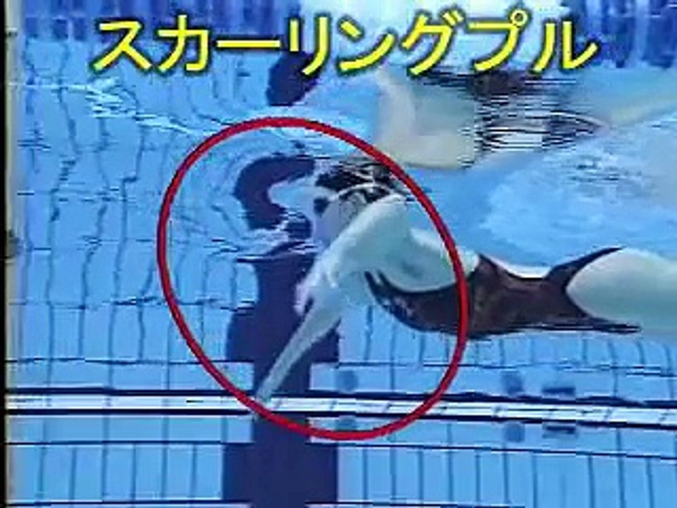 萩原智子的蛙泳示范