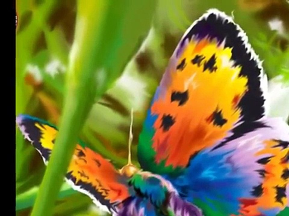 true colors cindy lauper