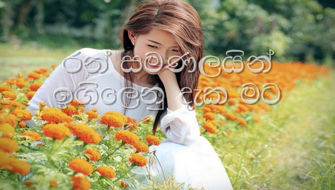 රන් සමනලයින් ඉගිලෙනු දැක මට