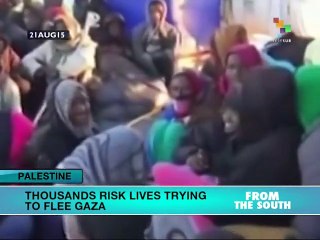 Thousands Risk Lives Trying to Flee Gaza