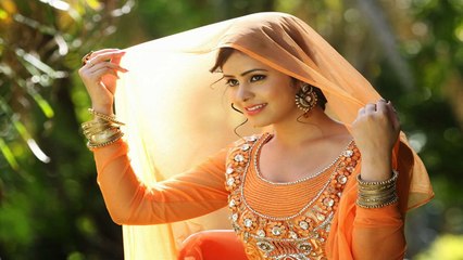 Gulzar Alam  | "Bharan  Vol  25" | Audio Jukebox