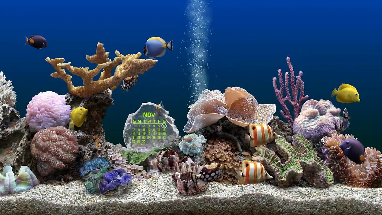 Marine Aquarium 3 Bildschirmschoner - PerdiscoVideo - video Dailymotion