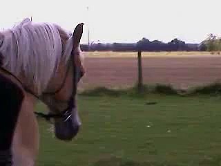 riding scooby bareback