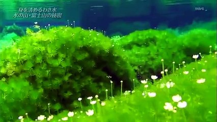 THE世界遺産-20130630