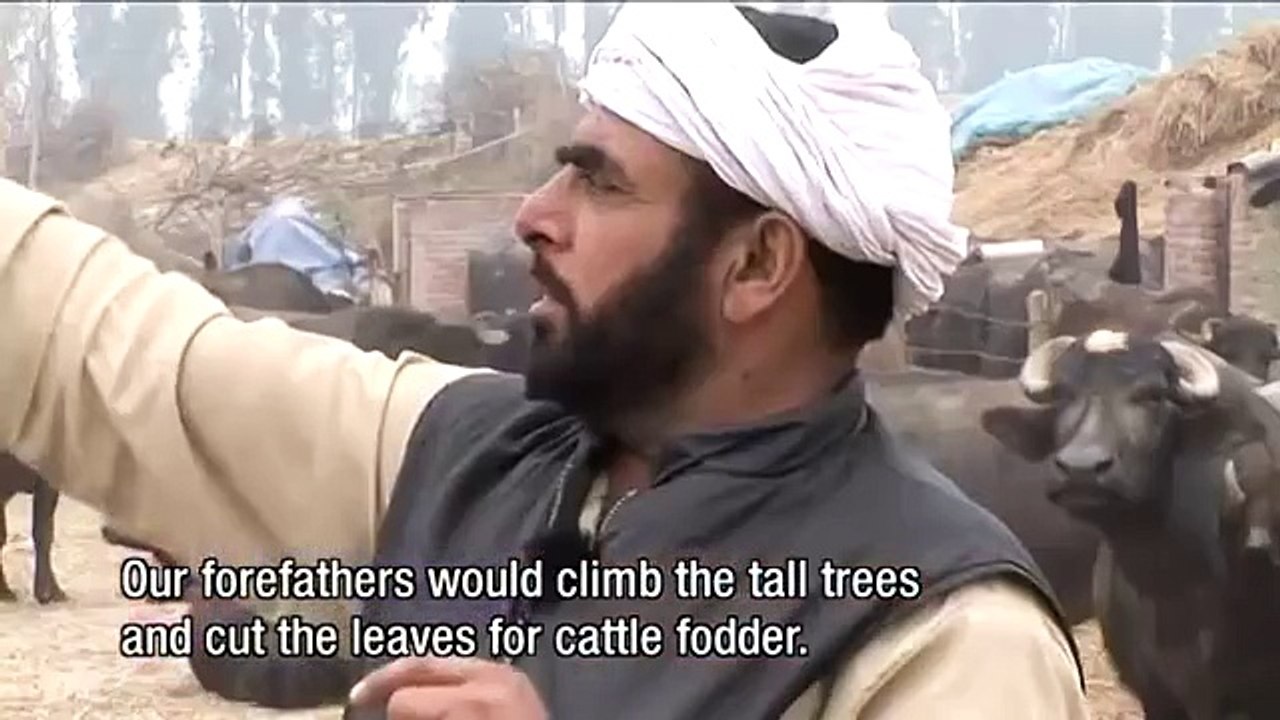 Mohamed Fakir (Dairy Farmer) - Raipur Gujra, Punjab India