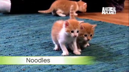 SMF“수원출장안마＂碼【OIO-2156-42O2】오산출장안마 언제〃성남출장안마碼