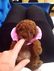 ㆍ１ㆍ오산출장안마℃【OIO-2156-42O2】℃수원출장안마 boa요 오산출장마사지ㆍ성남출장안마