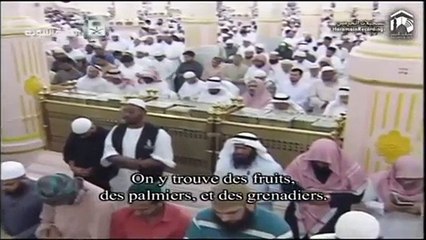 O hommes! Adorez votre Seigneur, qui vous a créés vous et ceux qui vous ont précédés. Ainsi atteindriez-vous à la piété.