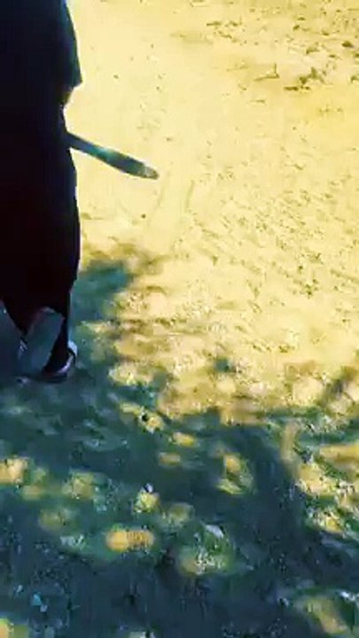 صاااااااااااااااااااااده