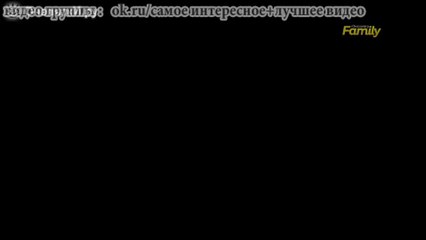 Немного ласки