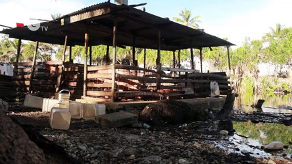 How to adapt to climate change in the Pacific