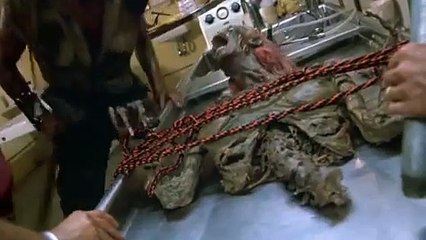 Ecco perchè gli zombie mangiano cervelli