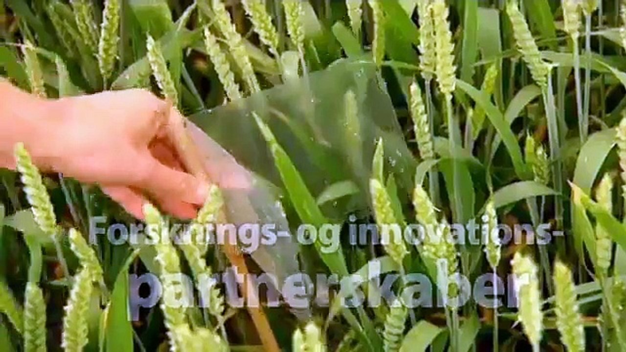 Forskning og innovation