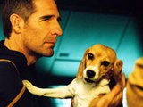 Star Trek Enterprise Porthos the Beagle Tribute