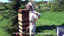 Printemps 2014 - Récolte de miel dans notre ruche Japonaise - rucher école Villa le Bosquet