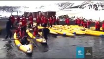 Antarctic Cruises - Exploring Antarctica by Lindblad Expeditions and National Geographic