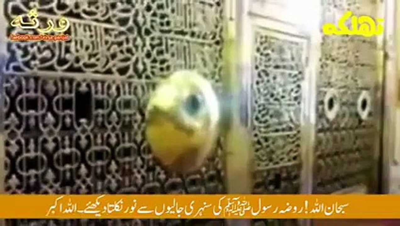 سبحان اللہ روضہ رسول ﷺ کی جالیوں سے نور نکل رہا ہے۔۔۔ اللہ اکبر