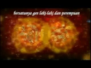 Proses Ibu Mengandung Sampai Melahirkan