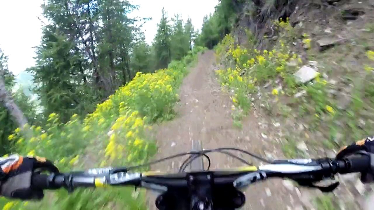 Les 2 Alpes, 1 ère Descente avec To, Le Diable le 19 juin 2015
